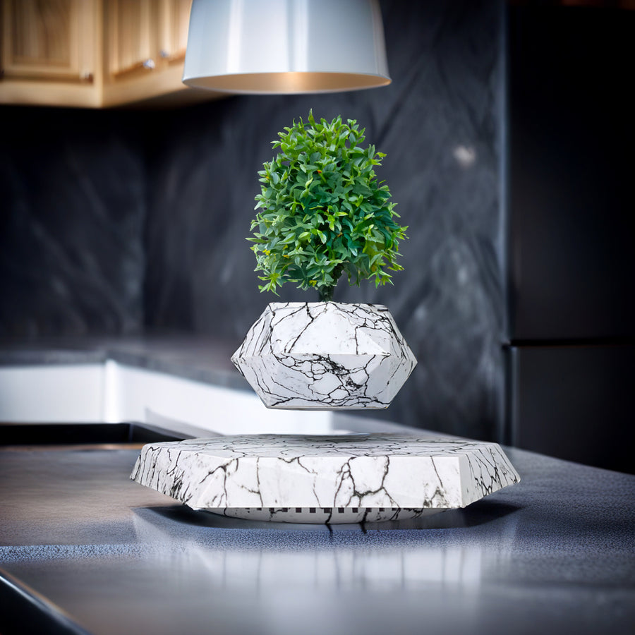 Decoración y Ambiente